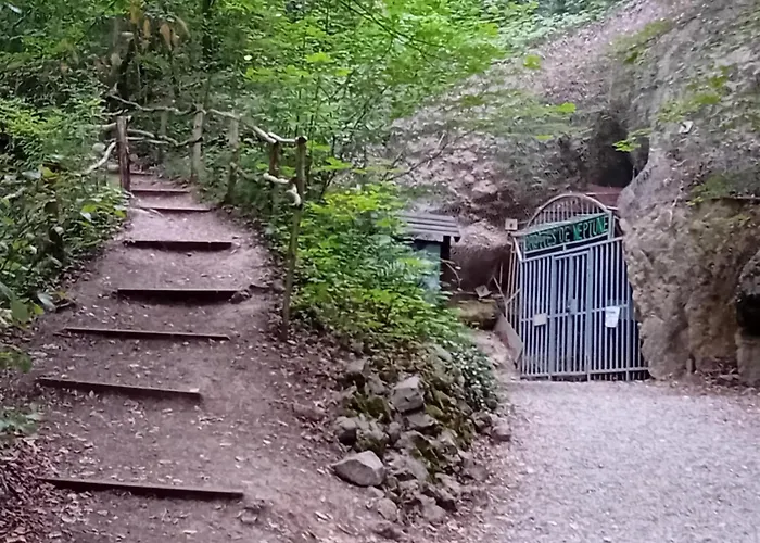 Dom wakacyjny Le Rycochet Couvin